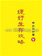 婕妤生存攻略图片