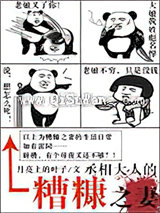 丞相大人的糟糠之妻图片