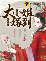 大小姐嫁到图片