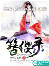 簪缨录图片