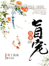 盲宠图片