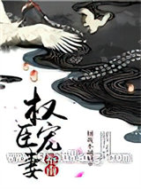 权臣宠妻指南图片