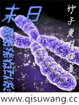 末日超级变种系统图片