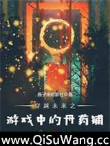 穿越未来之游戏中的丹药铺图片