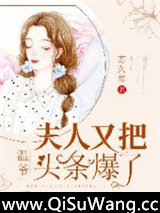 《温爷，夫人又把头条爆了！》全本TXT下载-作者：苏久棽