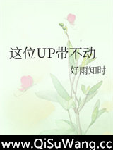 《这位UP带不动》全本TXT下载-作者：好雨知时