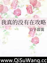 《我真的没有在攻略》全本TXT下载-作者：公子暮霭