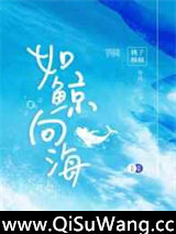 如鲸向海图片