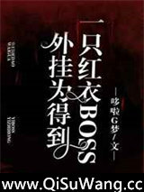 外挂为得到一只红衣BOSS图片