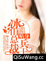 《冰山总裁的贴身兵王》全本TXT下载-作者：贼大胆