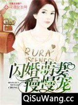 闪婚萌妻慢慢宠图片