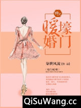 《壕门暖婚》全本TXT下载-作者：柒世风流