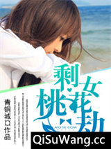 《剩女桃花劫》全本TXT下载-作者：青铜城
