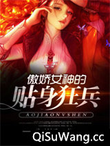 傲娇女神的贴身狂兵图片