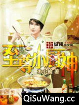 《至尊小厨神》全本TXT下载-作者：木小榆.