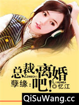 独家姻缘：前妻，离婚无效图片