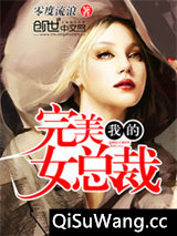 《我的完美女总裁》全本TXT下载-作者：零度流浪