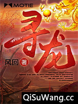 寻龙图片