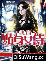 我的贴身女侍图片