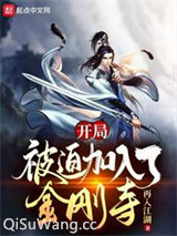 《开局被迫加入了金刚寺》全本TXT下载-作者：再入江湖
