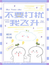 《不要打扰我飞升》全本TXT下载-作者：昭文