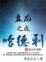 《盘龙之成哈德利》全本TXT下载-作者：黄金庄主