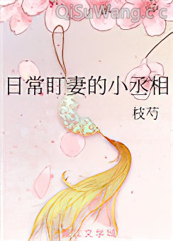 《日常盯妻的小丞相》全本TXT下载-作者：枝芍