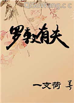 《罗敷有夫》全本TXT下载-作者：一支荷