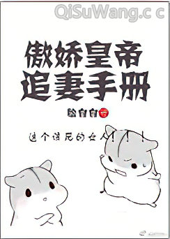 傲娇皇帝追妻手册图片