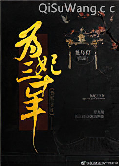 为妃三十年图片