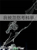 我被忽悠考科举图片