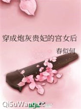 穿成炮灰贵妃的宫女后图片