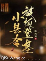 小县令被迫登基（基建）图片