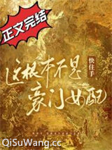 《快住手，这根本不是豪门女配！》全本TXT下载-作者：四藏