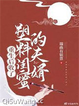《重生后收了塑料闺蜜的夫婿》全本TXT下载-作者：瑞曲有银票