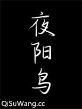 夜阳鸟图片