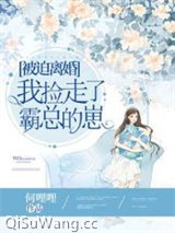 被迫离婚，我捡走了霸总的崽图片