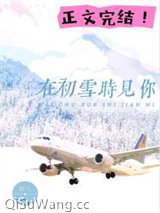 在初雪时见你图片