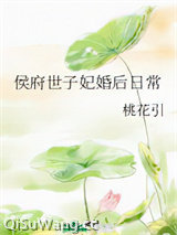 《侯府世子妃婚后日常》全本TXT下载-作者：桃花引