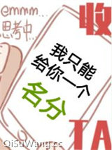《我只能给你一个名分[无限]》全本TXT下载-作者：龙女夜白