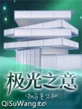极光之意小说