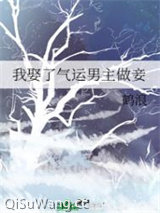 我娶了气运男主做妾图片
