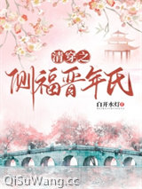 清穿之侧福晋年氏图片