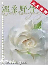 《温柔野骨》全本TXT下载-作者：金岫