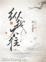 《纵我不往》全本TXT下载-作者：起一声羌笛
