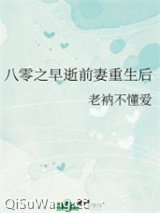 《八零之早逝前妻重生后》全本TXT下载-作者：老衲不懂爱