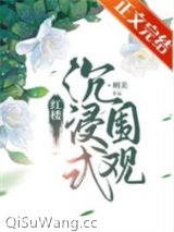 红楼沉浸式围观图片