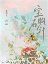 宝石胸针[先婚]图片