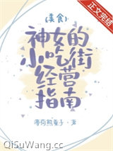 《神女小吃街经营指南（美食）》全本TXT下载-作者：薄荷熊童子