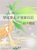 《穿成废太子宠妾以后》全本TXT下载-作者：启夫微安